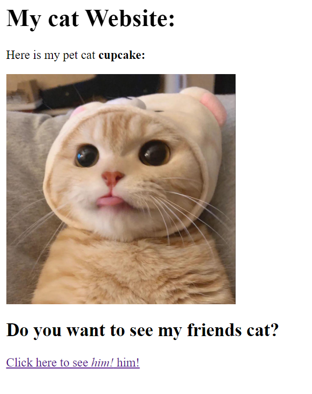 Links and Images in HTML » Learn The Web